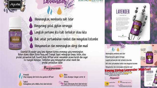 Temukan Manfaat Lavender Young Living yang Jarang Diketahui