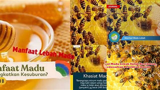 Temukan Manfaat Lebah Madu yang Jarang Diketahui
