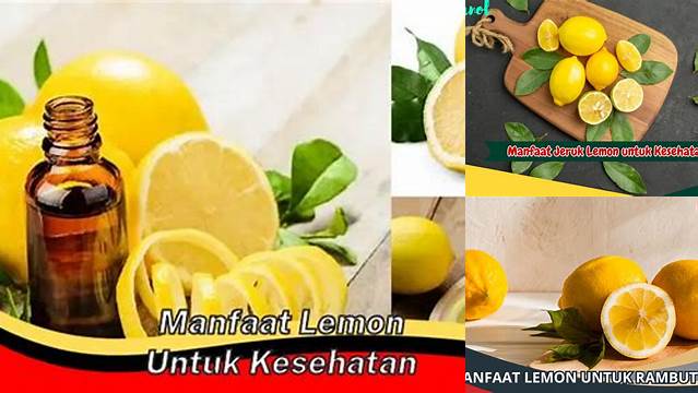 Temukan Manfaat Lemon untuk Rahim yang Jarang Diketahui, Wajib Tahu!