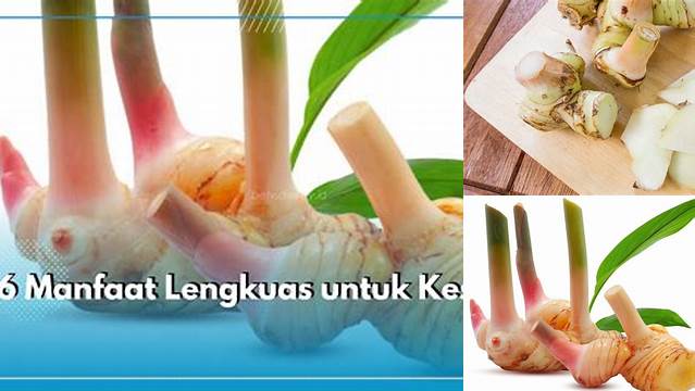 Temukan Rahasia Lengkuas untuk Kulit Gatal yang Tak Terduga