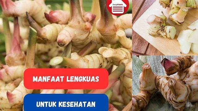 10 Manfaat Lengkuas untuk Masakan yang Jarang Diketahui