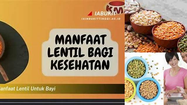 Manfaat Lentil untuk Bayi: Temuan Menakjubkan yang Jarang Diketahui