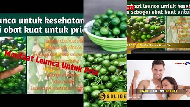 Unveil the 7 Manfaat Leunca untuk Pria yang Jarang Diketahui