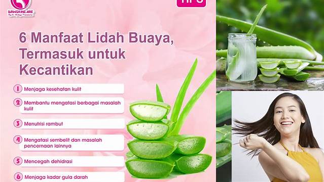 Temukan 10 Manfaat Lidah Buaya untuk Kecantikan yang Jarang Diketahui