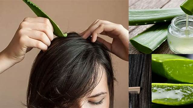 Manfaat Lidah Buaya untuk Rambut Rontok yang Jarang Diketahui