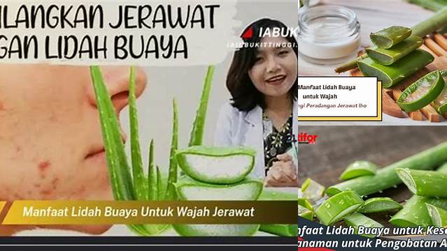 Temukan Manfaat Lidah Buaya untuk Wajah Berjerawat yang Belum Diketahui