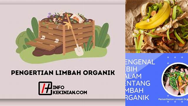 Temukan 8 Manfaat Limbah Organik yang Jarang Anda Ketahui!