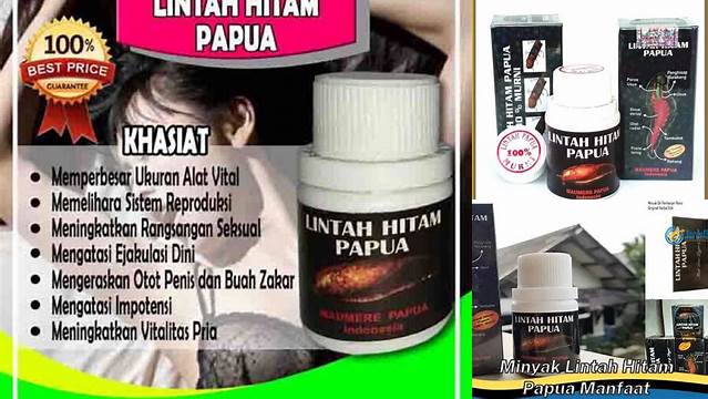 Temukan Manfaat Lintah Hitam Papua yang Jarang Diketahui, Khasiat yang Bikin Takjub!