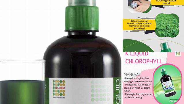 5 Manfaat Liquid Chlorophyll yang Jarang Diketahui