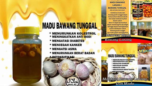 Temukan Manfaat Madu Bawang Lanang yang Jarang Diketahui