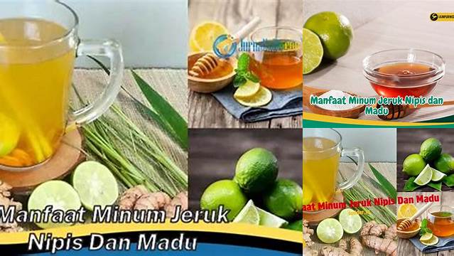10 Manfaat manfaat madu dan jeruk nipis Rahasia Sehat Alami Terungkap
