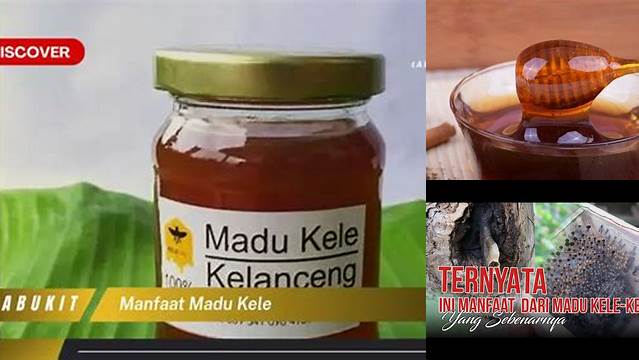 Temukan Manfaat Madu Kele yang Jarang Diketahui