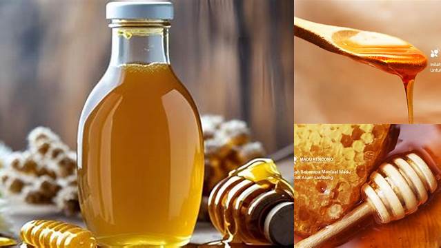 Temukan Manfaat Madu Klanceng untuk Asam Lambung yang Jarang Diketahui!