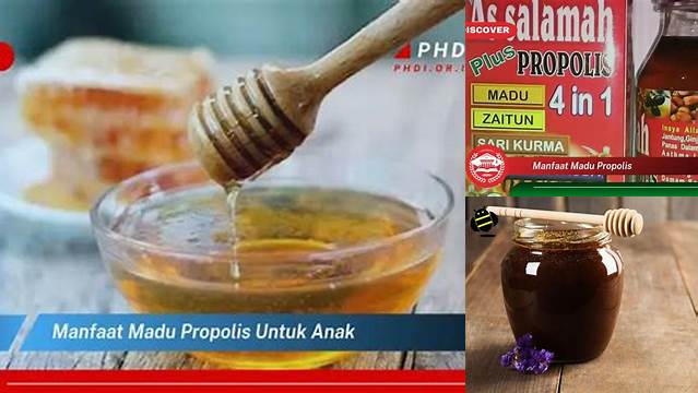 10 Manfaat Madu Propolis Ungkap Rahasia Kesehatan Alami