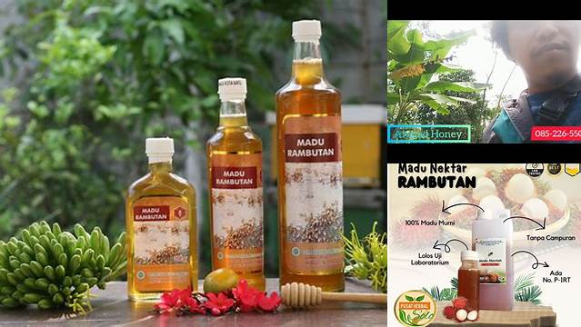 9 Manfaat Madu Rambutan, Temukan Khasiat Alaminya Disini