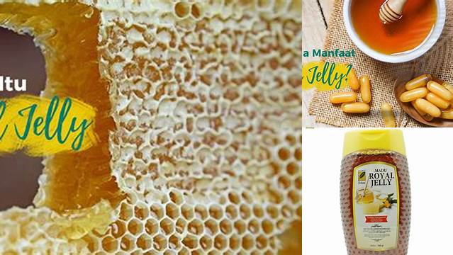 Terungkap! 10 Manfaat Madu Royal Jelly yang Jarang Diketahui