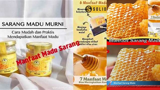 Temukan Manfaat Madu Sarang yang Jarang Diketahui