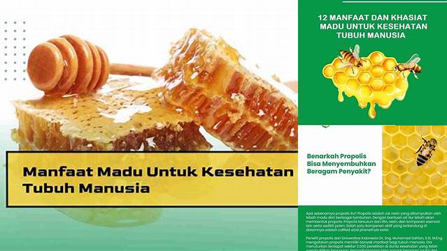 Temukan Manfaat Madu untuk Kesehatan yang Jarang Diketahui!