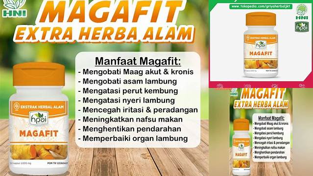 Manfaat Magafit HNI yang Jarang Diketahui, Wajib Disimak!