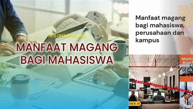 Temukan Manfaat Magang bagi Kampus yang Jarang Diketahui