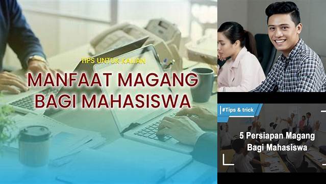 Manfaat Magang Bagi Universitas yang Jarang Diketahui