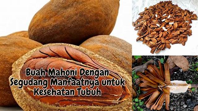 10 Manfaat Mahoni untuk Kesehatan Yang Jarang Diketahui