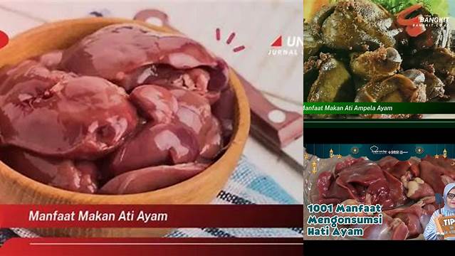 Temukan 10 Manfaat Makan Ati Ayam yang Jarang Diketahui