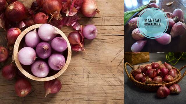 Ungkap 10 Manfaat Makan Bawang Merah yang Jarang Diketahui