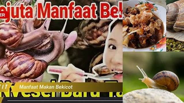 Temukan 8 Manfaat Makan Bekicot yang Jarang Diketahui