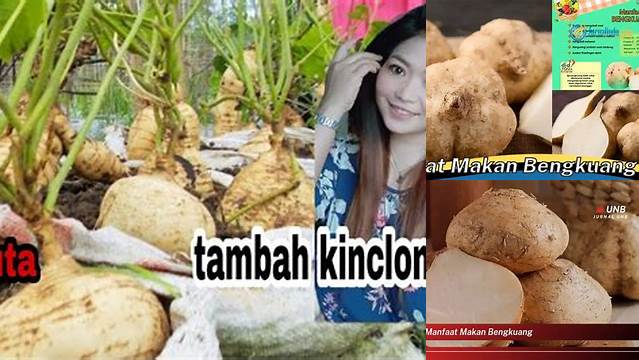 Manfaat Makan Bengkuang yang Jarang Diketahui