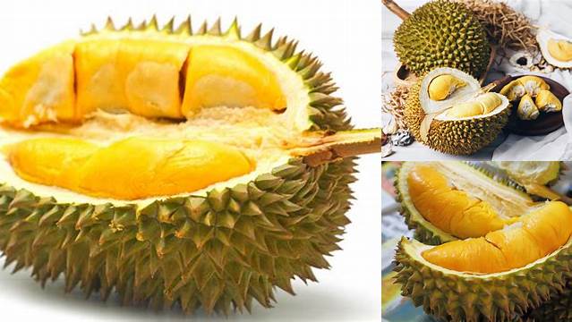 Temukan Manfaat Makan Buah Durian yang Jarang Diketahui