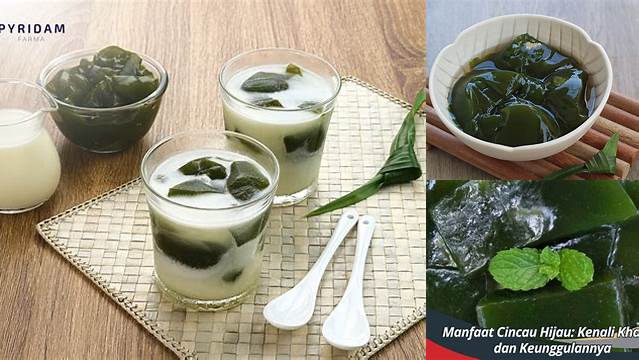 Temukan Manfaat Makan Cincau Hijau yang Belum Banyak Diketahui