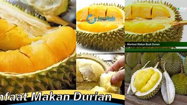 Temukan Manfaat Makan Durian yang Jarang Diketahui