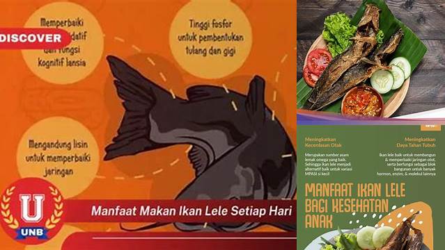 Manfaat Makan Ikan Lele Setiap Hari yang Jarang Diketahui
