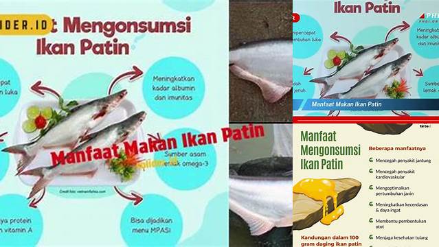 9 Manfaat Makan Ikan Patin yang Wajib Anda Tahu!