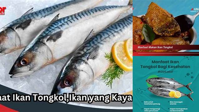 Manfaat Makan Ikan Tongkol yang Jarang Diketahui