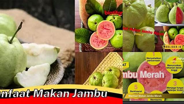 Temukan 10 Manfaat Makan Jambu yang Belum Banyak Diketahui