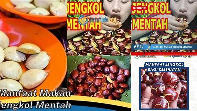 Manfaat Makan Jengkol Mentah
