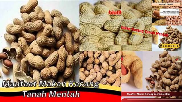 Temukan 5 Manfaat Makan Kacang Tanah Mentah yang Jarang Diketahui