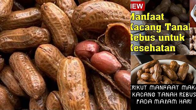 Temukan Manfaat Makan Kacang Tanah Rebus yang Jarang Diketahui