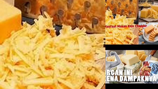 Manfaat Makan Keju Cheddar yang Jarang Diketahui