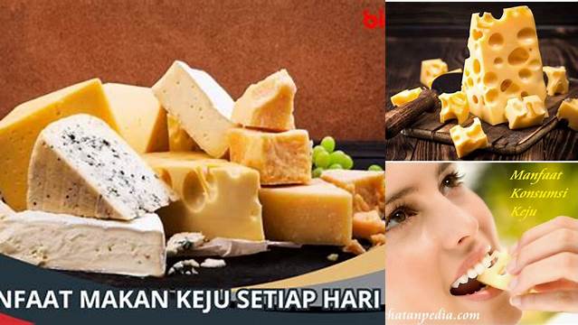 Temukan Manfaat Makan Keju Setiap Hari yang Jarang Diketahui