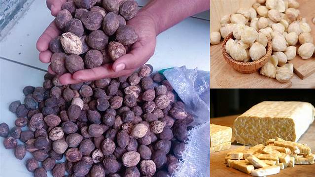 7 Manfaat Kemiri Mentah yang Jarang Diketahui