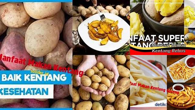 Temukan 11 Manfaat Makan Kentang yang Jarang Diketahui