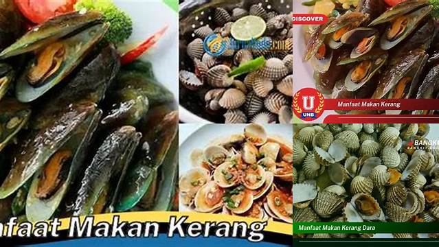 Temukan Khasiat Makan Kerang yang Perlu Anda Tahu