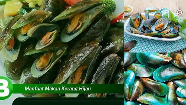 Temukan Manfaat Luar Biasa Makan Kerang Hijau, Rahasia yang Jarang Diketahui!