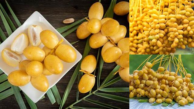 Manfaat Makan Kurma Muda: Dijamin Bikin Ketagihan