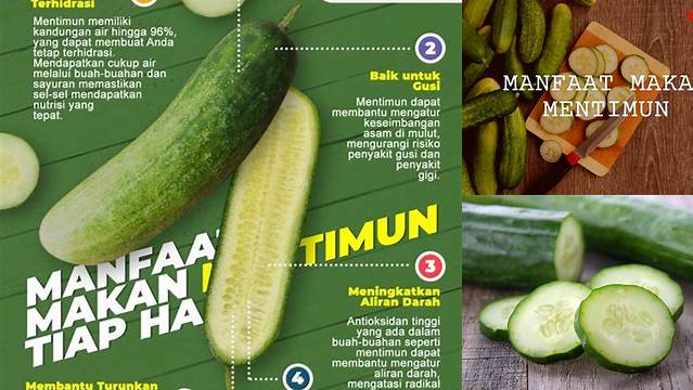 Temukan 10 Manfaat Makan Mentimun yang Jarang Diketahui