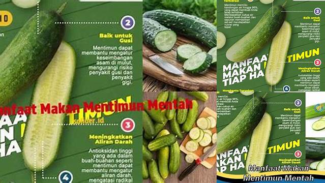 Temukan Manfaat Mentimun Mentah yang Jarang Diketahui