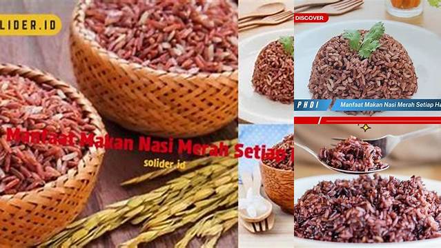 Temukan Manfaat Makan Nasi Merah Setiap Hari yang Belum Diketahui